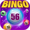 Bingo Happy : Casino Board Bingo Games Free & Fun Logo