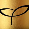 CosmoProf: Licensed to Create Logo