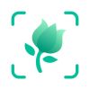 PictureThis - Plant Identifier Logo